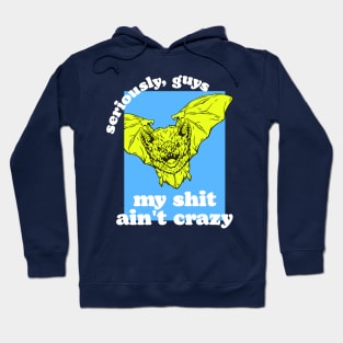 Seriously, Guys, I'm Not Bat Shit Crazy Hoodie